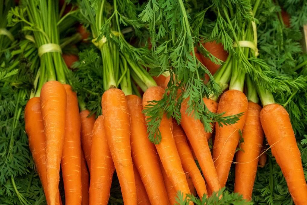 Una pila di carote