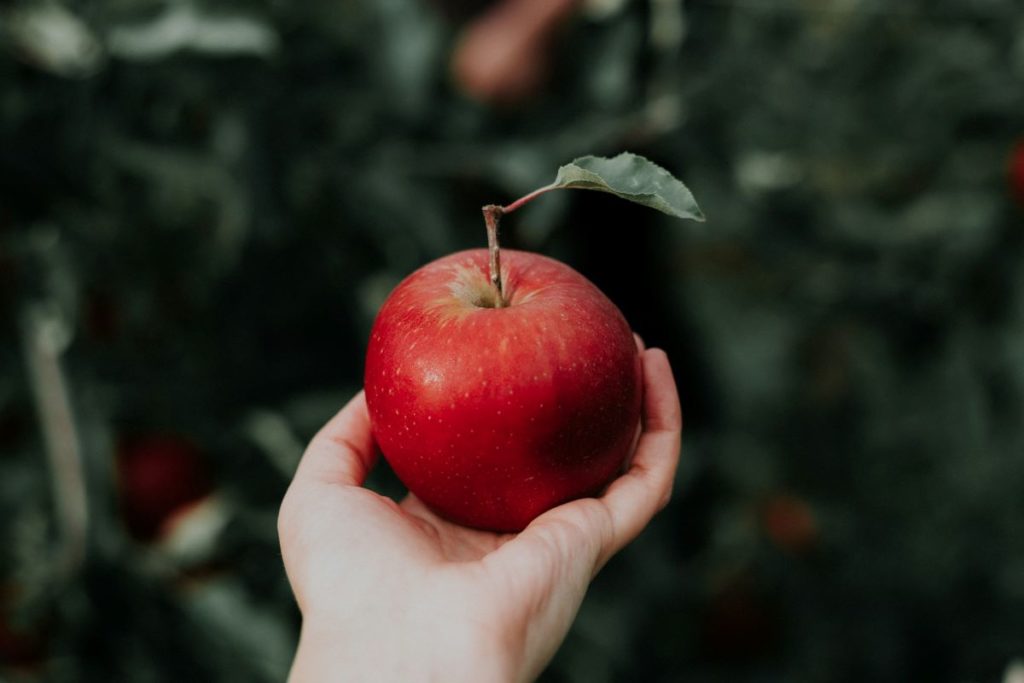 Quante calorie ci sono in una mela?